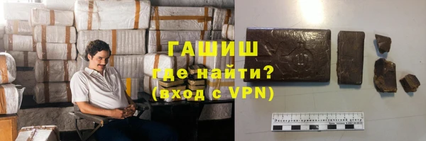 стафф Арсеньев