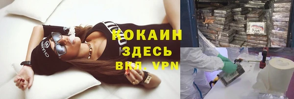 стафф Арсеньев