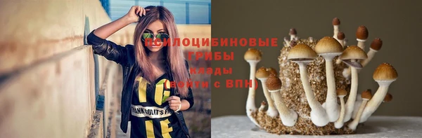 стафф Арсеньев