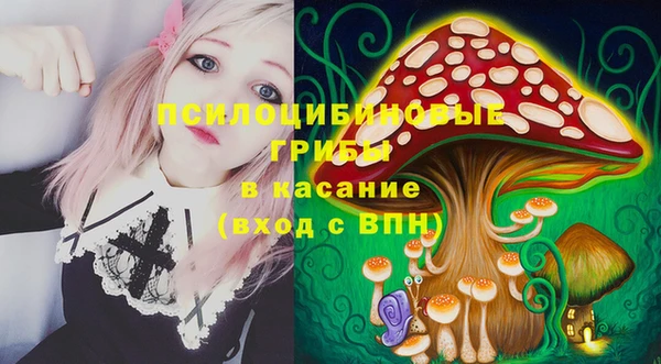 стафф Арсеньев