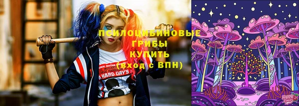 стафф Арсеньев