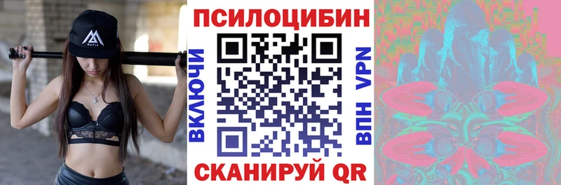 KRAKEN ссылки  Богучар  Галлюциногенные грибы прущие грибы 